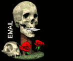 mailskull.gif (18177 bytes)
